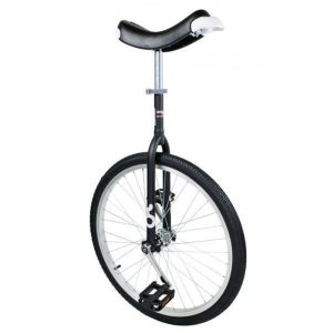 Only One 24 inch Unicycle