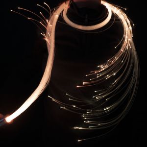 Fibre Flies | Mega Pixel Whip| Led Whip