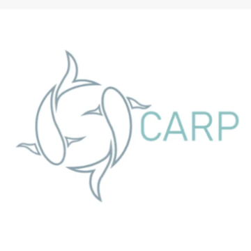 YoYoFriends | Carp